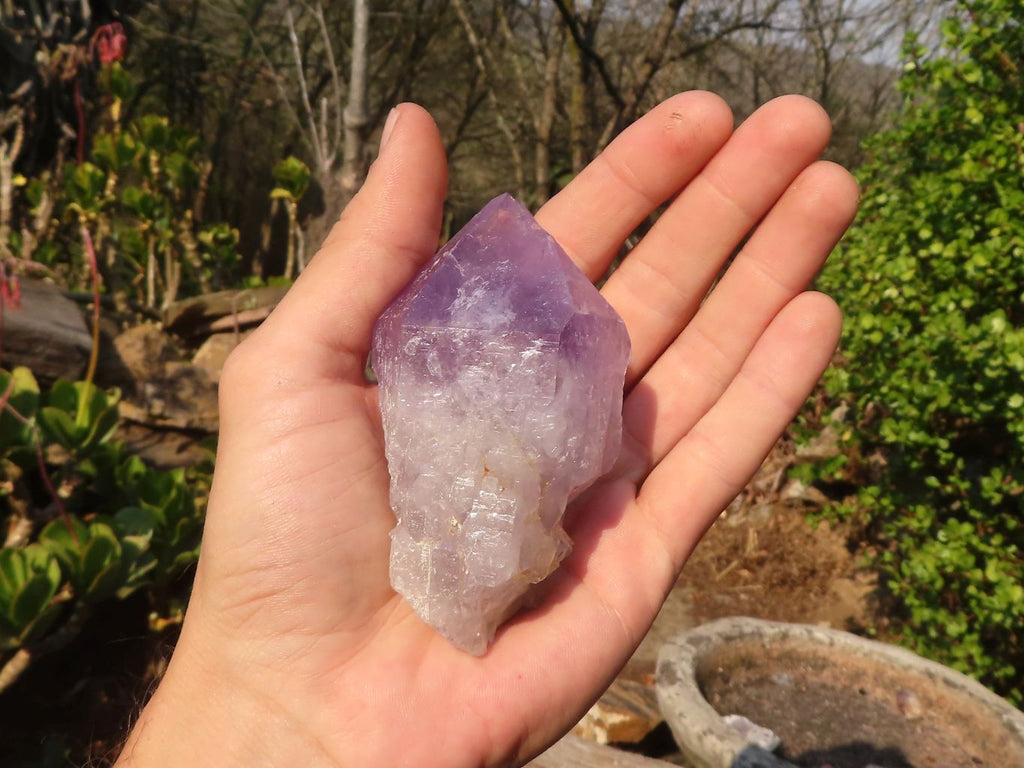 Natural Single Jacaranda Amethyst Crystals x 12 From Mumbwe, Zambia - Toprock Gemstones and Minerals 