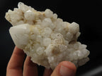 Natural Selected Fir Tree Formation Castle Quartz Clusters x 3 From Ambatfinhandrana, Madagascar - TopRock