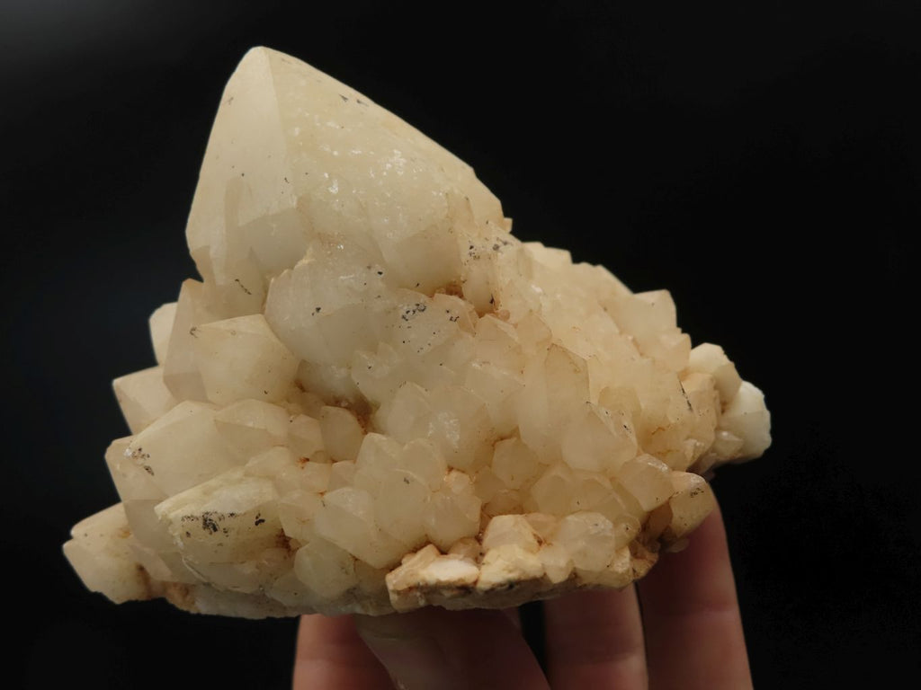 Natural Selected Fir Tree Formation Castle Quartz Clusters x 3 From Ambatfinhandrana, Madagascar - TopRock