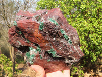 Natural Drusy Coated Ball Malachite On Dolomite Specimen  x 1 From Likasi, Congo - Toprock Gemstones and Minerals 