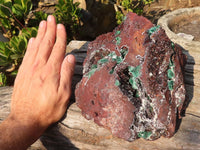 Natural Drusy Coated Ball Malachite On Dolomite Specimen  x 1 From Likasi, Congo - Toprock Gemstones and Minerals 