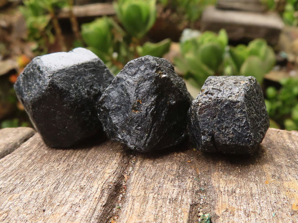 Natural Alluvial Schorl Black Tourmaline Crystals  x 64 From Zambia - TopRock