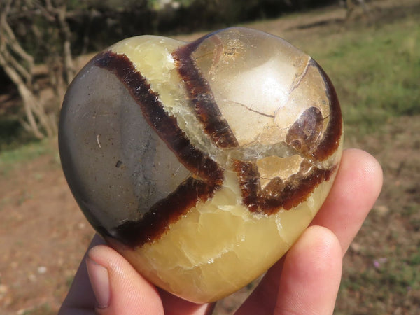 Polished Fossil Septaria (Calcite & Aragonite) Hearts  x 6 From Mahajanga, Madagascar - TopRock