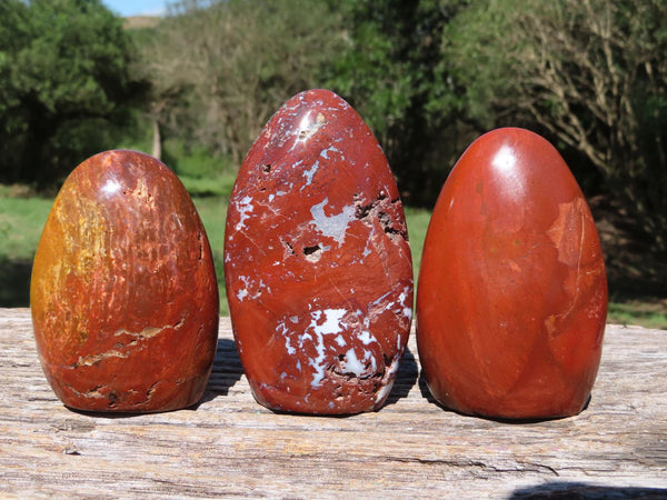 Polished Red Jasper Standing Free Forms x 6 From Madagascar - TopRock