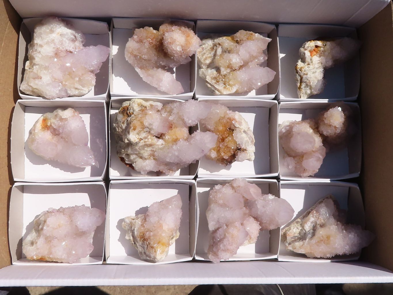 Natural Spirit Amethyst Quartz Clusters x 12 From Boekenhouthoek, South Africa - Toprock Gemstones and Minerals 