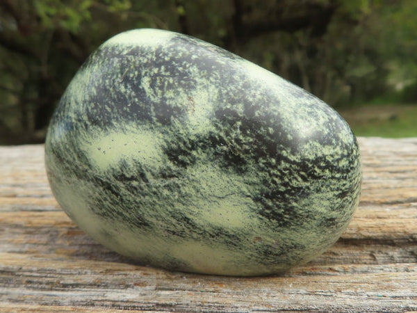 Polished Leopard Stone Eggs  x 6 From Inyanga, Zimbabwe - TopRock