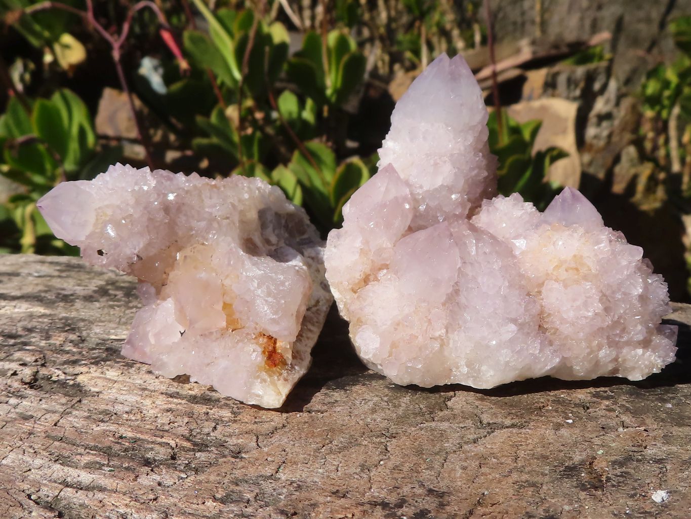 Natural Spirit Amethyst Quartz Clusters x 12 From Boekenhouthoek, South Africa - Toprock Gemstones and Minerals 