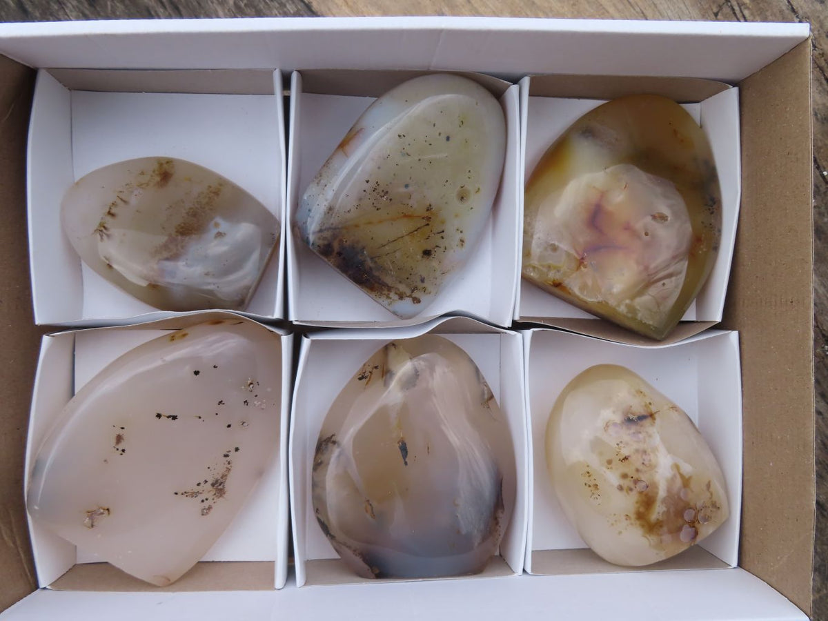 Polished Dendritic Agate Standing Free Forms  x 6 From Moralambo, Madagascar - Toprock Gemstones and Minerals 