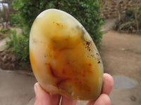 Polished Dendritic Agate Standing Free Forms  x 6 From Moralambo, Madagascar - Toprock Gemstones and Minerals 