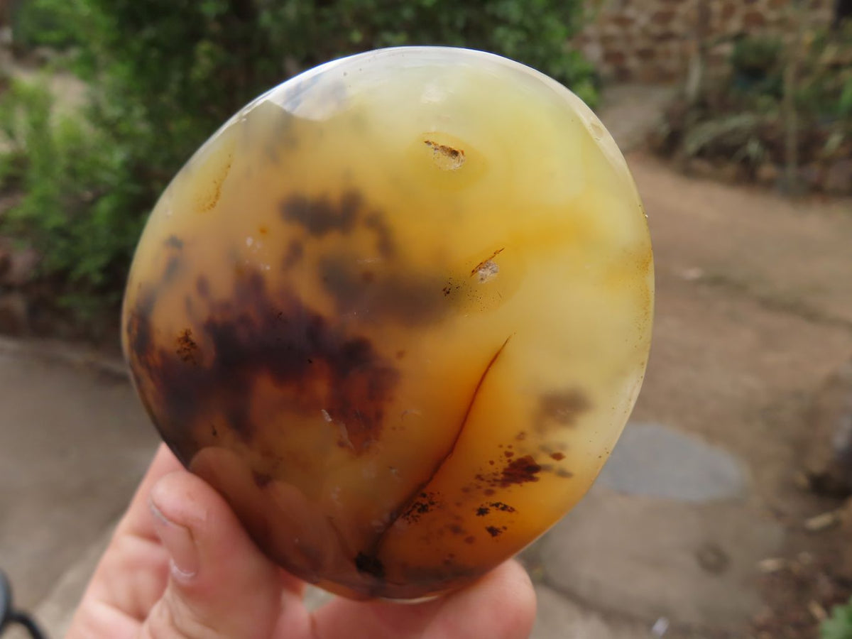 Polished Dendritic Agate Standing Free Forms  x 6 From Moralambo, Madagascar - Toprock Gemstones and Minerals 