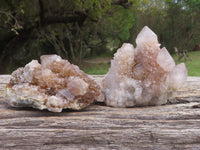 Natural Mixed Spirit Quartz Clusters  x 6 From Boekenhouthoek, South Africa - TopRock
