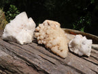 Natural Fir Tree Candle Quartz Clusters  x 3 From Madagascar - TopRock