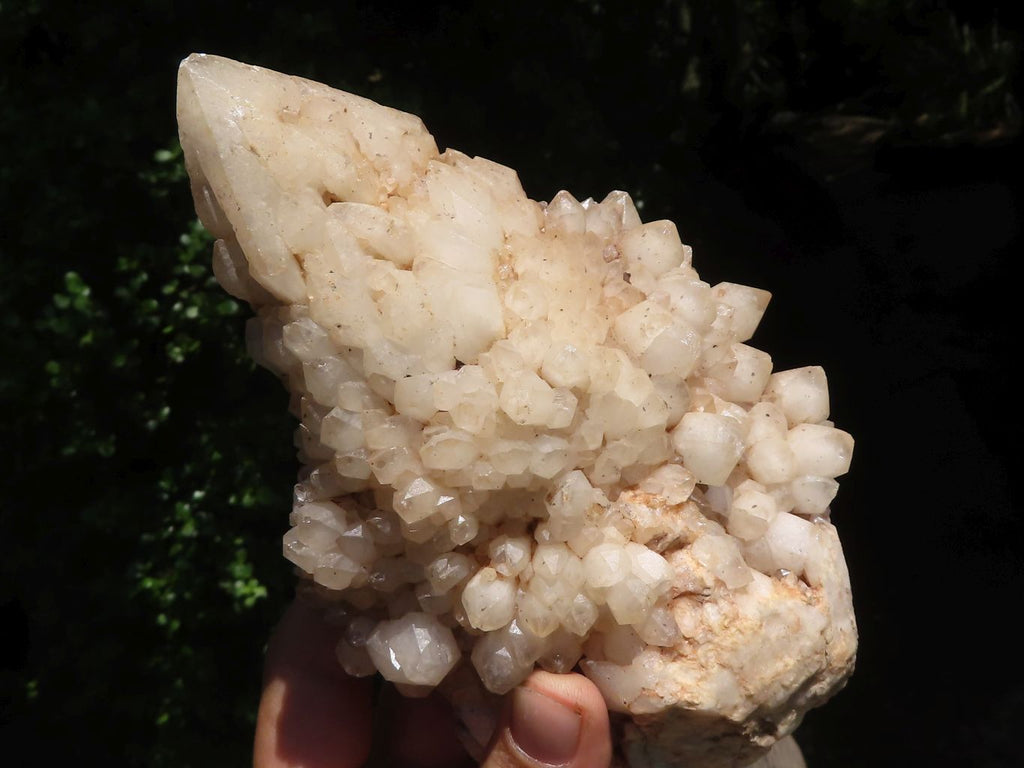 Natural Fir Tree Candle Quartz Clusters  x 3 From Madagascar - TopRock