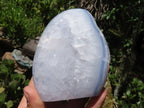 Polished Blue Lace Agate Standing Free Forms  x 3 From Malawi - TopRock