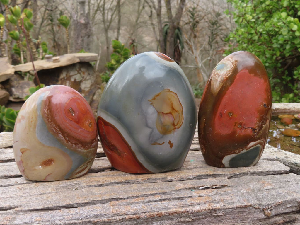Polished Polychrome Jasper Standing Free Forms  x 3 From Madagascar - Toprock Gemstones and Minerals 