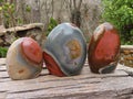 Polished Polychrome Jasper Standing Free Forms  x 3 From Madagascar - Toprock Gemstones and Minerals 
