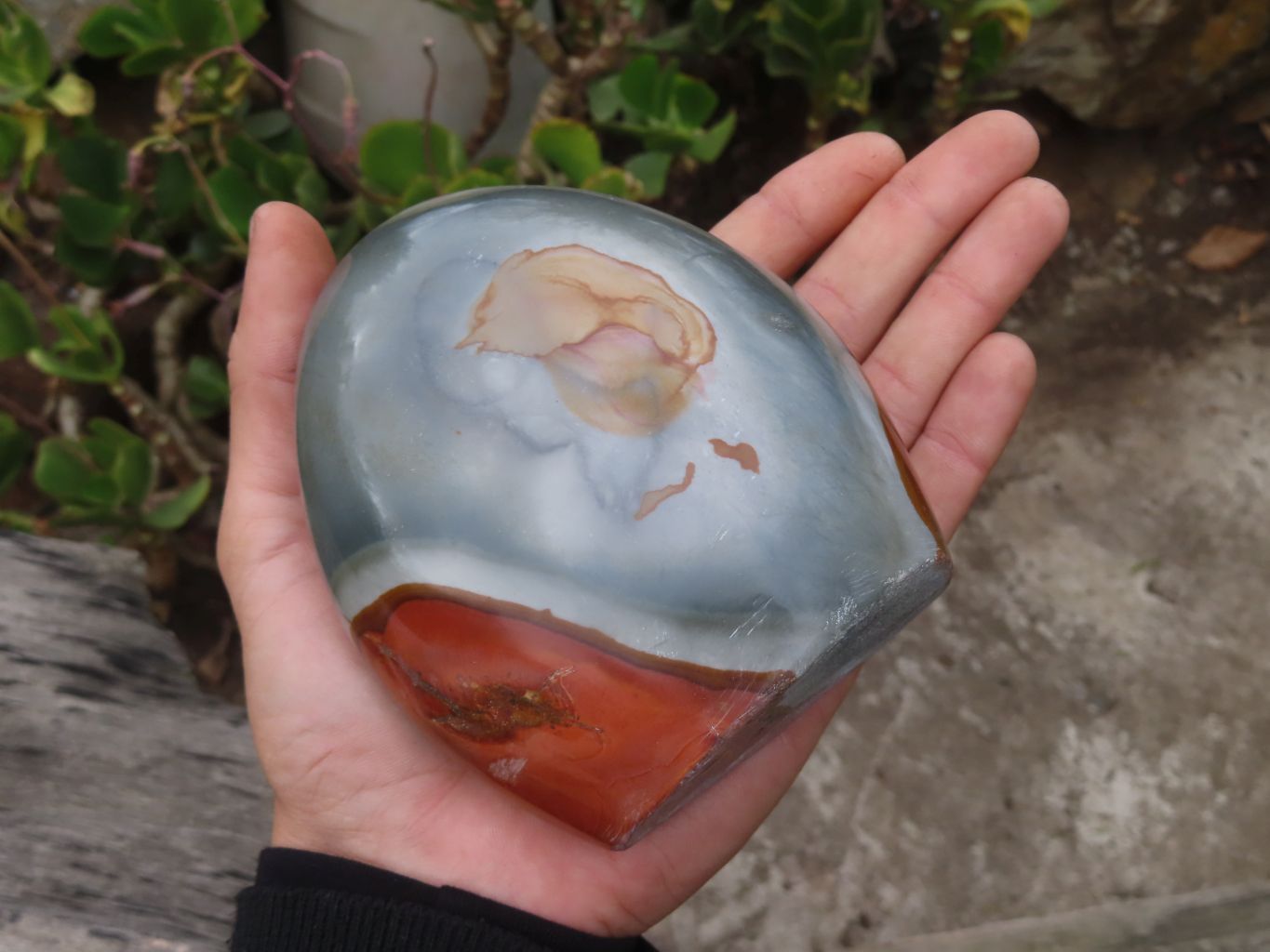 Polished Polychrome Jasper Standing Free Forms  x 3 From Madagascar - Toprock Gemstones and Minerals 