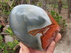 Polished Polychrome Jasper Standing Free Forms  x 3 From Madagascar - Toprock Gemstones and Minerals 
