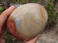 Polished Polychrome Jasper Standing Free Forms  x 3 From Madagascar - Toprock Gemstones and Minerals 