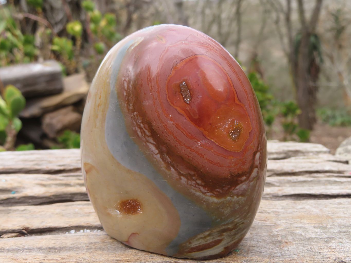 Polished Polychrome Jasper Standing Free Forms  x 3 From Madagascar - Toprock Gemstones and Minerals 