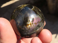 Polished Mini Labradorite Spheres  x 12 From Tulear, Madagascar - Toprock Gemstones and Minerals 