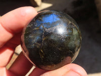 Polished Mini Labradorite Spheres  x 12 From Tulear, Madagascar - Toprock Gemstones and Minerals 