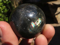 Polished Mini Labradorite Spheres  x 12 From Tulear, Madagascar - Toprock Gemstones and Minerals 
