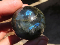 Polished Mini Labradorite Spheres  x 12 From Tulear, Madagascar - Toprock Gemstones and Minerals 