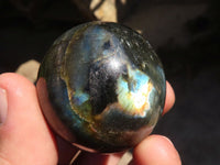 Polished Mini Labradorite Spheres  x 12 From Tulear, Madagascar - Toprock Gemstones and Minerals 
