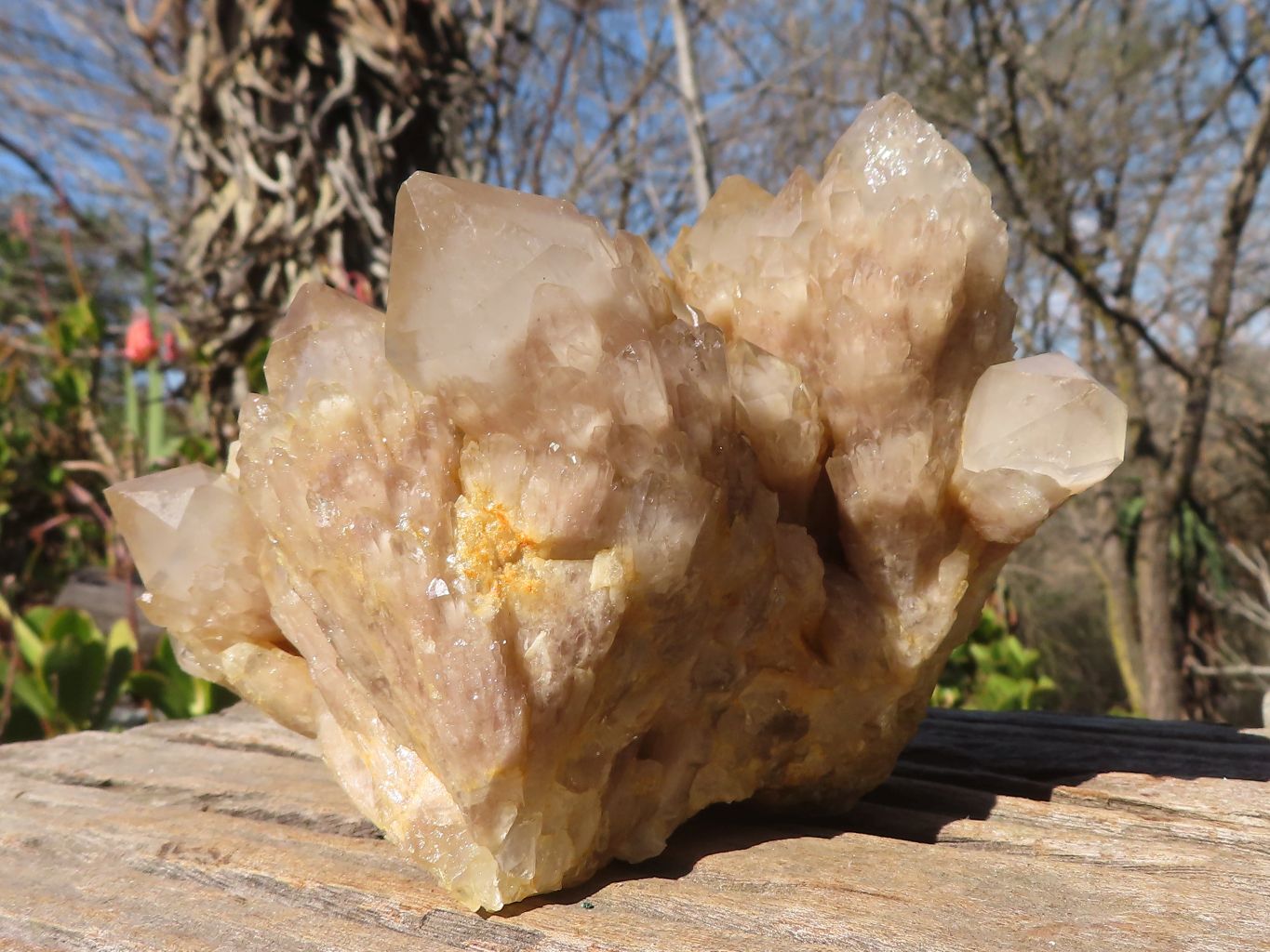 Natural Cascading Smokey Quartz Cluster  x 1 From Luena, Congo - Toprock Gemstones and Minerals 