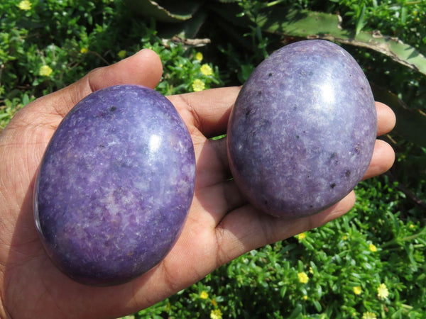 Polished Lepidolite Selected Large Palm Gallets x 6 From Zimbabwe - TopRock