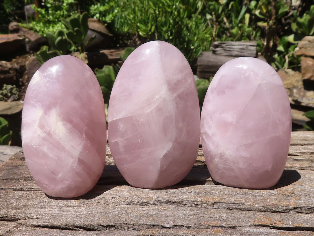 Polished Gemmy Pink Rose Quartz Standing Free Forms  x 6 From Ambatondrazaka, Madagascar - TopRock