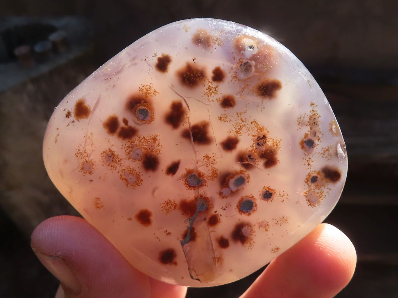 Polished Mixed Selection Of Agate Free Forms  x 12 From Zimbabwe - Toprock Gemstones and Minerals 