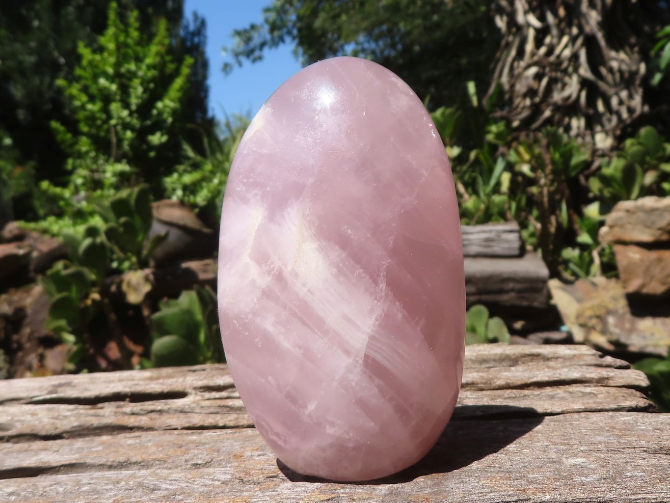 Polished Gemmy Pink Rose Quartz Standing Free Forms  x 6 From Ambatondrazaka, Madagascar - TopRock