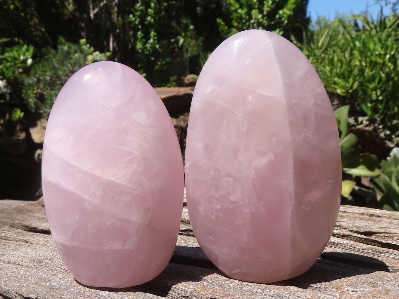 Polished Gemmy Pink Rose Quartz Standing Free Forms  x 6 From Ambatondrazaka, Madagascar - TopRock