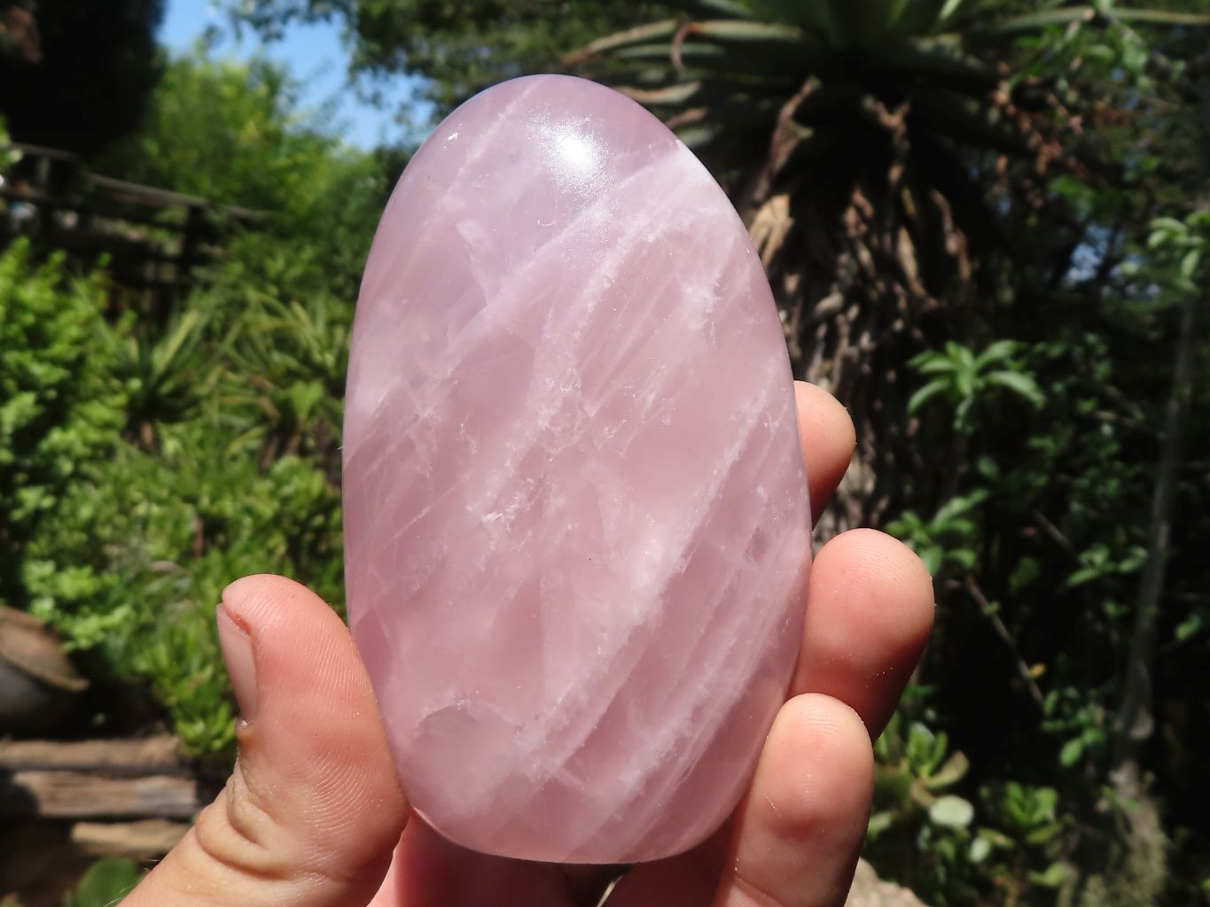 Polished Gemmy Pink Rose Quartz Standing Free Forms  x 6 From Ambatondrazaka, Madagascar - TopRock