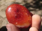 Polished Carnelian Agate Palm Stones  x 20 From Madagascar - TopRock