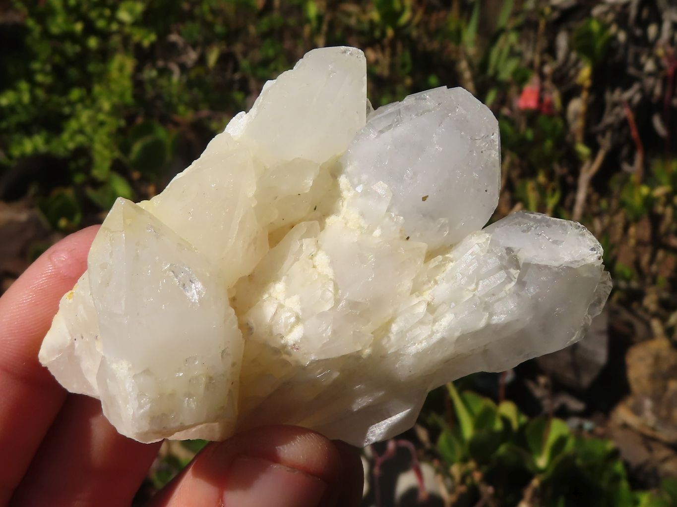 Natural Cathedral Window Quartz Crystals x 12 From Madagascar - Toprock Gemstones and Minerals 