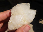 Natural Cathedral Window Quartz Crystals x 12 From Madagascar - Toprock Gemstones and Minerals 