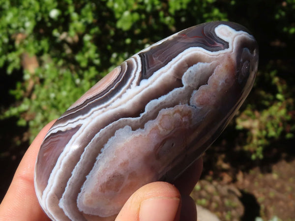 Polished Gorgeous River Agate Palm Stones  x 6 From Sashe River, Zimbabwe - Toprock Gemstones and Minerals 