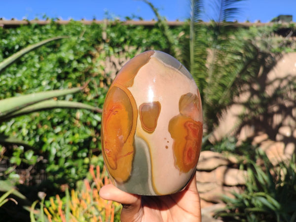 Polished Polychrome Jasper Standing Free Form x 1 From Madagascar - Toprock Gemstones and Minerals 
