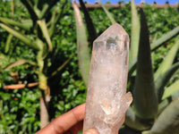 Natural Clear Quartz Crystal Specimens  x 4 From Mpika, Zambia - Toprock Gemstones and Minerals 