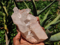 Natural Clear Quartz Crystal Specimens  x 4 From Mpika, Zambia - Toprock Gemstones and Minerals 