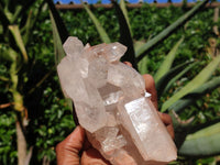 Natural Clear Quartz Crystal Specimens  x 4 From Mpika, Zambia - Toprock Gemstones and Minerals 