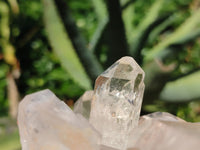 Natural Clear Quartz Crystal Specimens  x 4 From Mpika, Zambia - Toprock Gemstones and Minerals 
