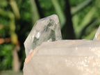 Natural Clear Quartz Crystal Specimens  x 4 From Mpika, Zambia - Toprock Gemstones and Minerals 