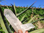 Natural Clear Quartz Crystal Specimens  x 4 From Mpika, Zambia - Toprock Gemstones and Minerals 