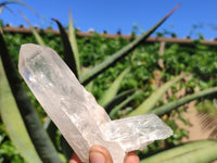 Natural Clear Quartz Crystal Specimens  x 4 From Mpika, Zambia - Toprock Gemstones and Minerals 