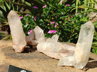 Natural Clear Quartz Crystal Specimens  x 4 From Mpika, Zambia - Toprock Gemstones and Minerals 