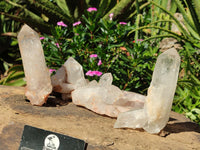 Natural Clear Quartz Crystal Specimens  x 4 From Mpika, Zambia - Toprock Gemstones and Minerals 